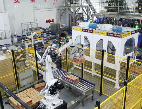 鹽津鋪?zhàn)佣麻L(zhǎng)張學(xué)武 以匠心與遠(yuǎn)見，鑄就中國(guó)卓越食品制造企業(yè)